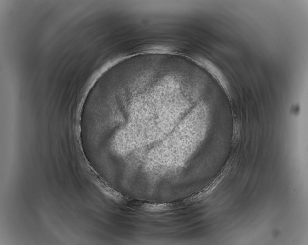 X0000098221435200805151306