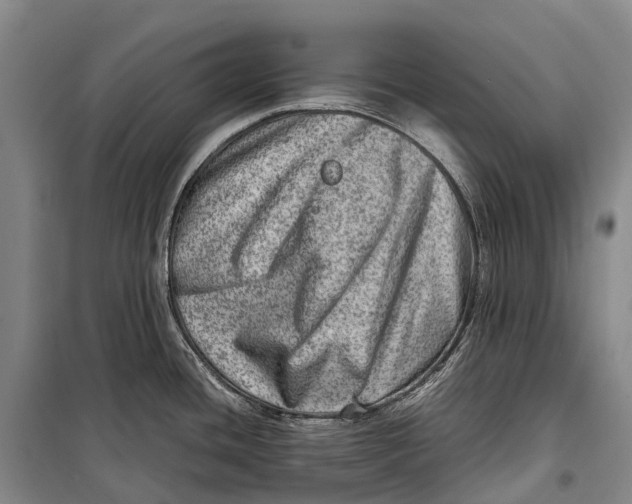 X0000098221436200805151306