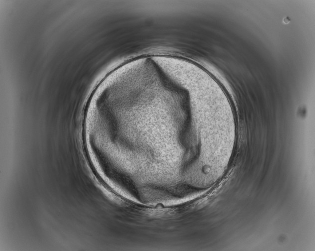 X0000098221437200805151306