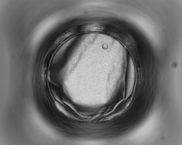 X0000098221438200805151306