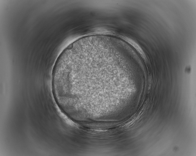 X0000098221439200805151306