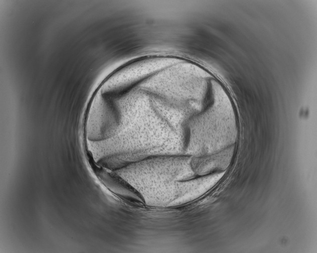 X0000098221440200805151306