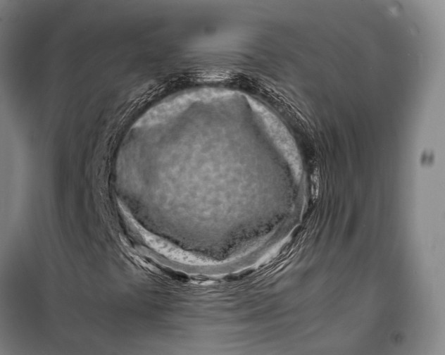 X0000098221441200805151306