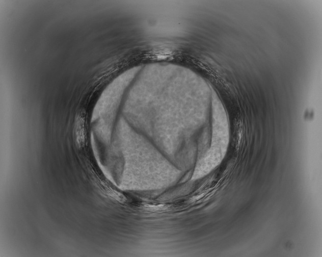 X0000098221442200805151306