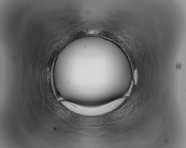 X0000098221443200805151306