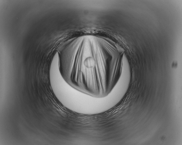 X0000098221444200805151306