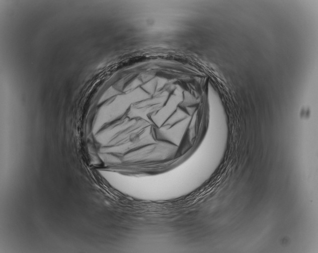 X0000098221445200805151306