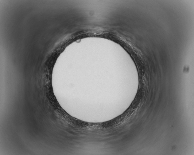 X0000098221447200805151306