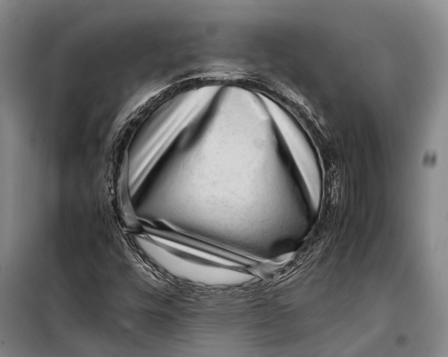 X0000098221448200805151305