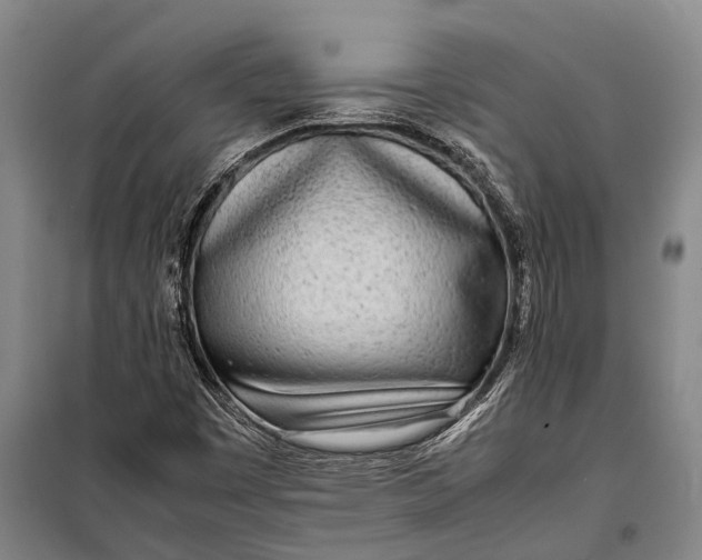 X0000098221449200805151305