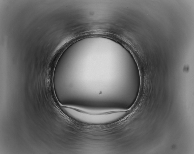 X0000098221450200805151305