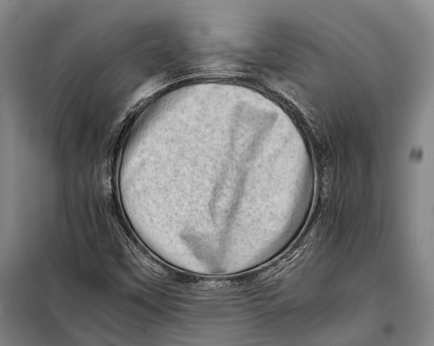 X0000098221451200805151305