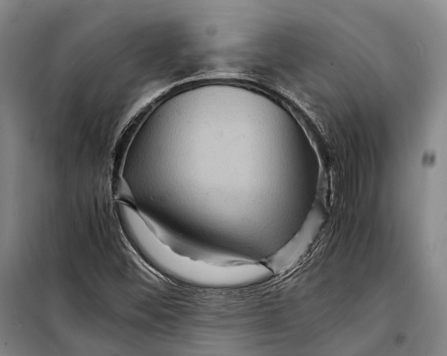 X0000098221452200805151305