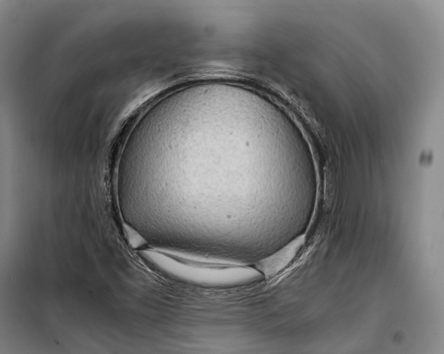 X0000098221453200805151305