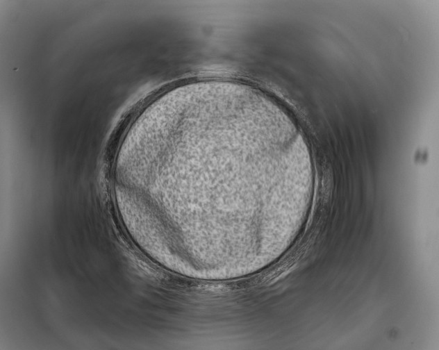 X0000098221454200805151305