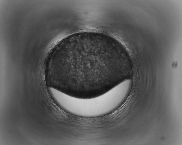 X0000098221455200805151305