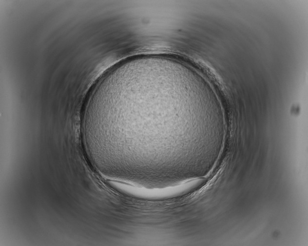 X0000098221457200805151305