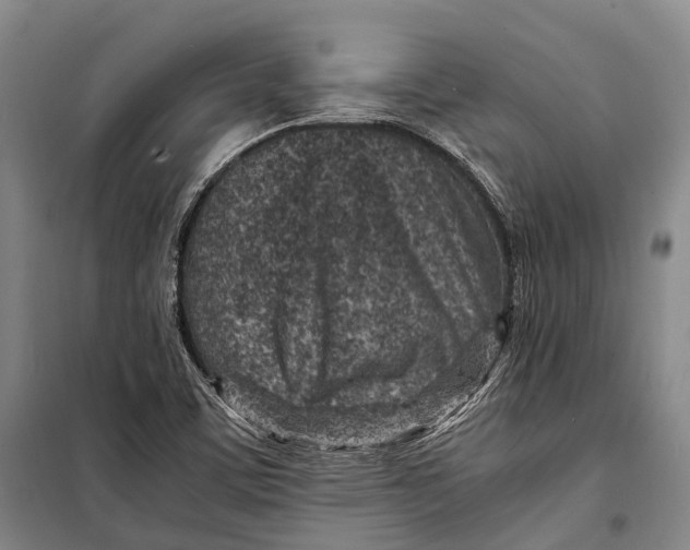 X0000098221459200805151305