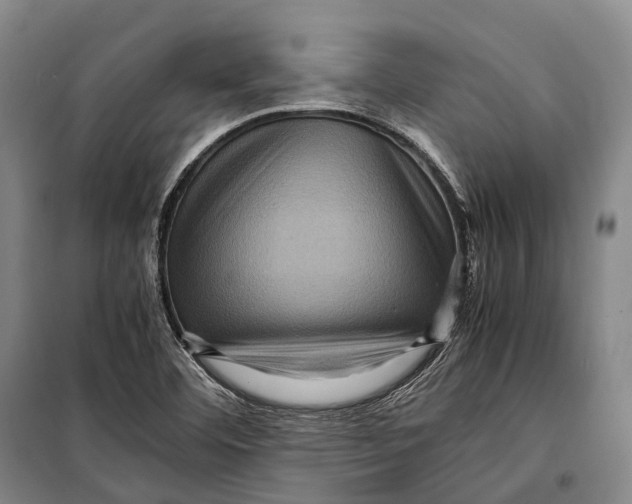 X0000098221460200805151305