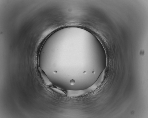 X0000098221461200805151305