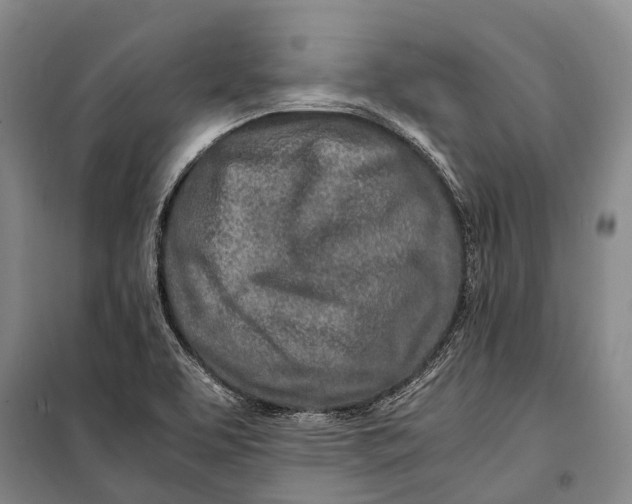 X0000098221463200805151305