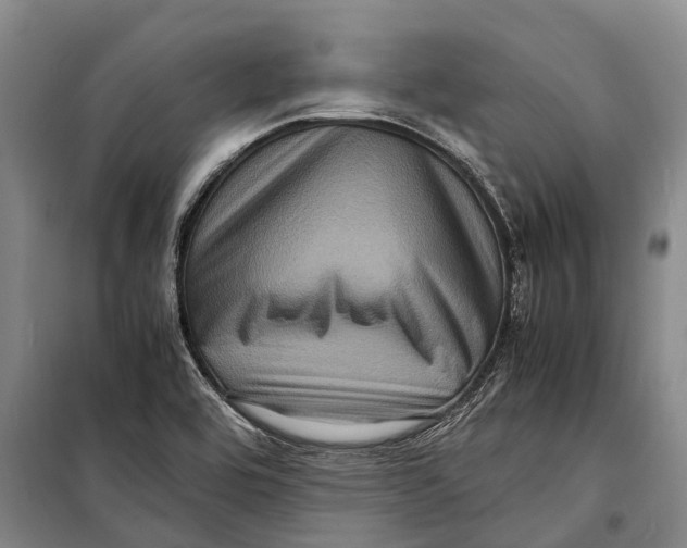 X0000098221464200805151305