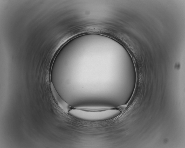 X0000098221465200805151305