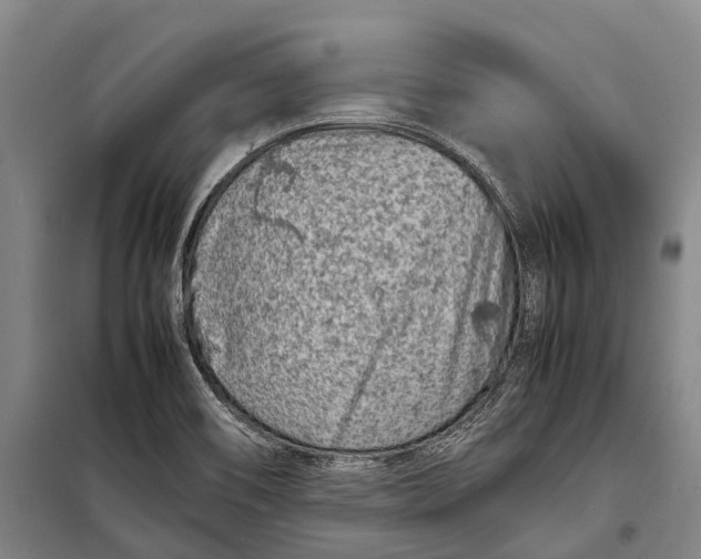 X0000098221466200805151305