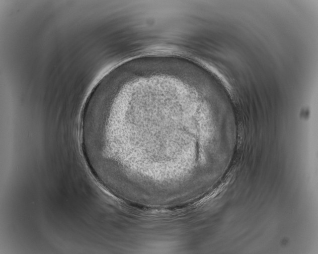 X0000098221467200805151305