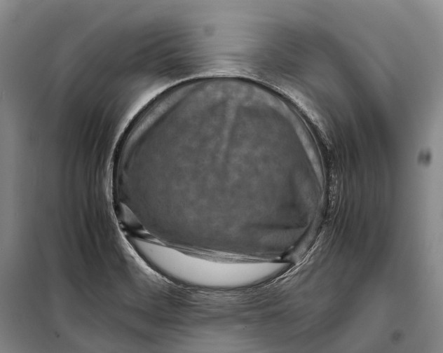 X0000098221468200805151305