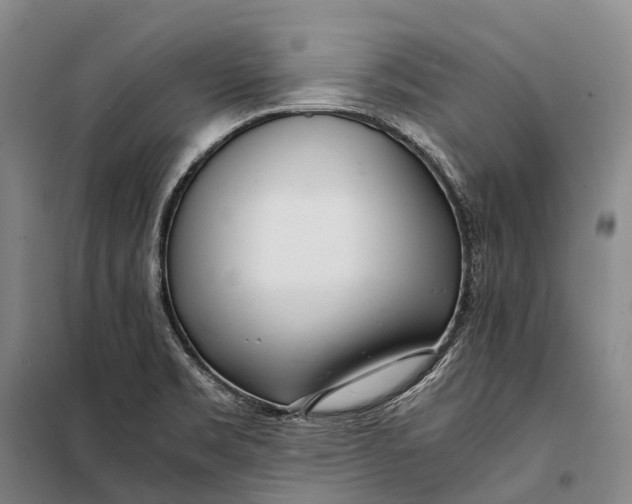 X0000098221469200805151305