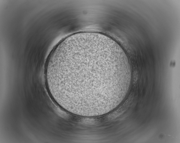 X0000098221470200805151305