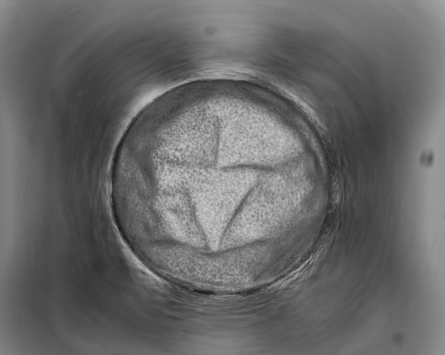 X0000098221471200805151305