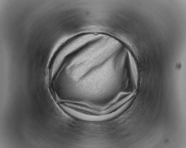 X0000098221472200805151305