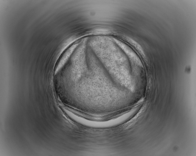 X0000098221473200805151305