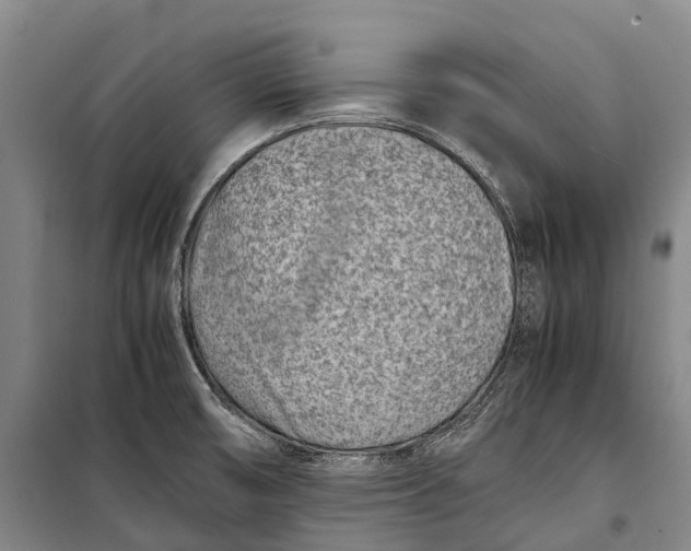 X0000098221474200805151305