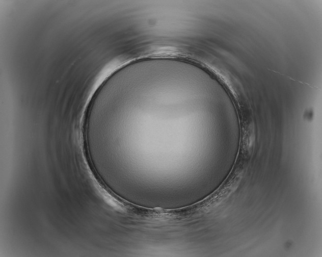 X0000098221475200805151305