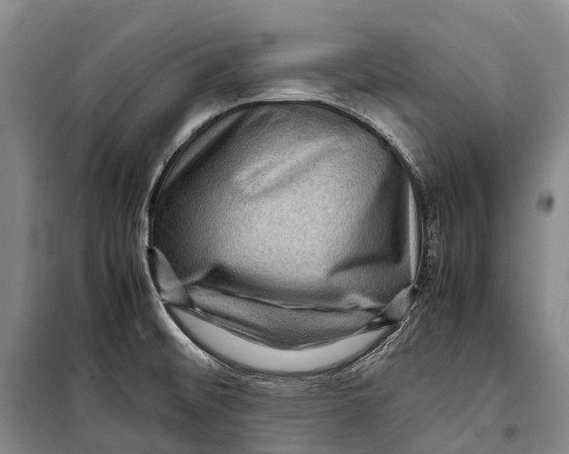 X0000098221476200805151305