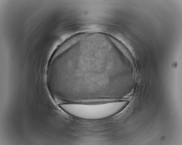 X0000098221477200805151305