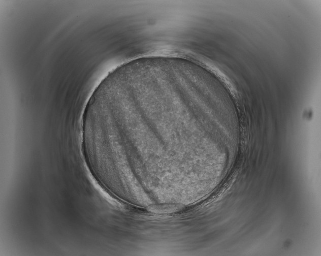 X0000098221479200805151305