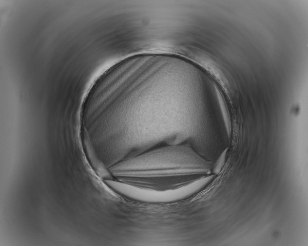 X0000098221480200805151305