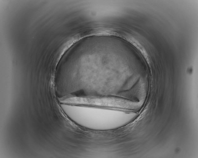 X0000098221481200805151305