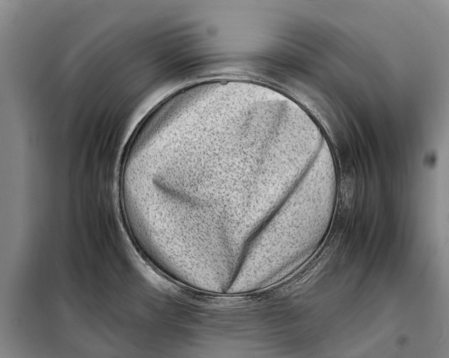 X0000098221482200805151305