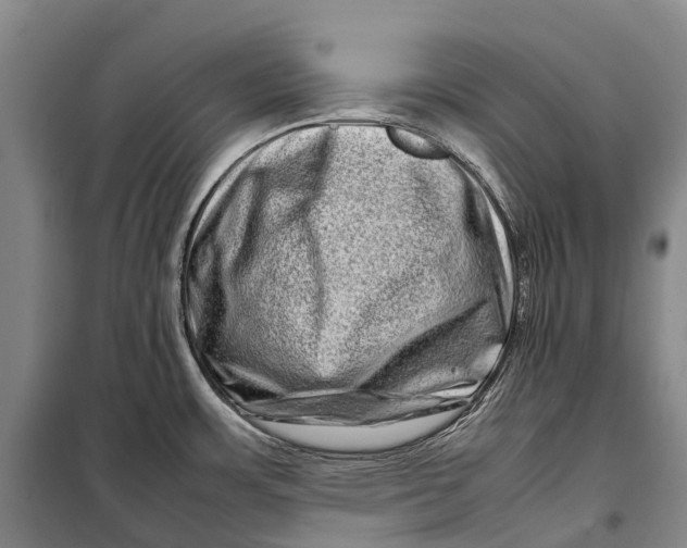 X0000098221483200805151305