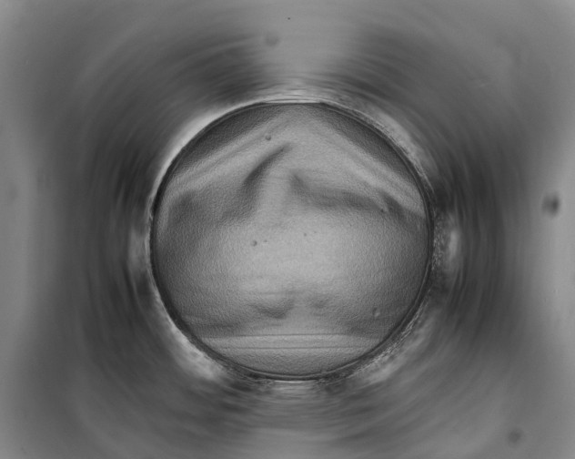 X0000098221484200805151305