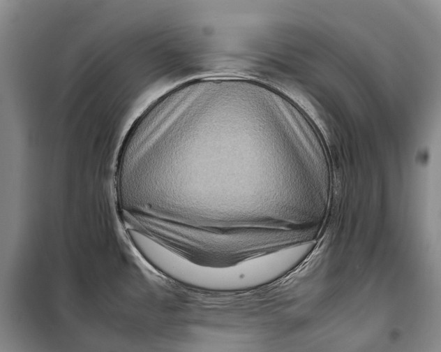 X0000098221485200805151305