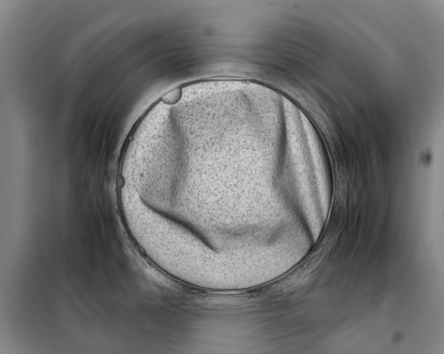 X0000098221486200805151305