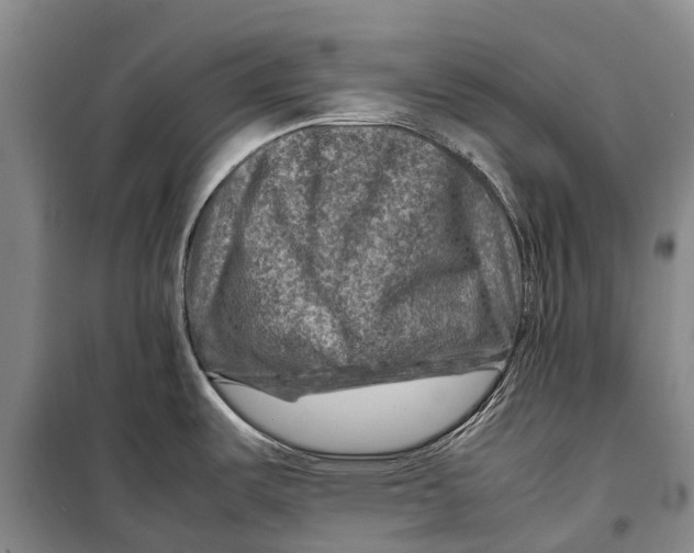 X0000098221487200805151305