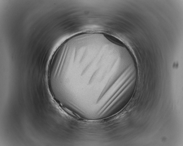 X0000098221488200805151305