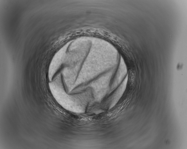 X0000098221489200805151304